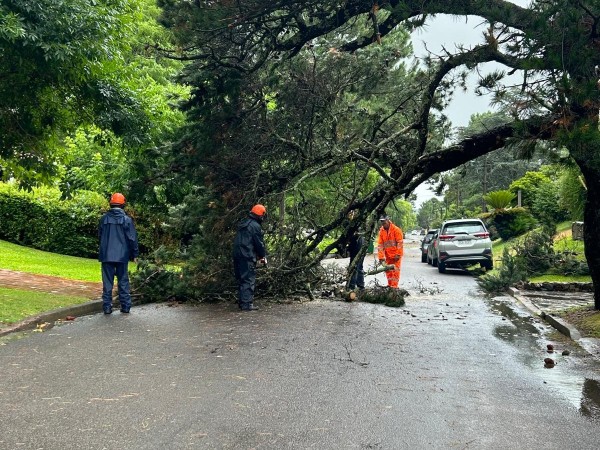 Orsi se pronunció tras el temporal y destacó el trabajo de UTE