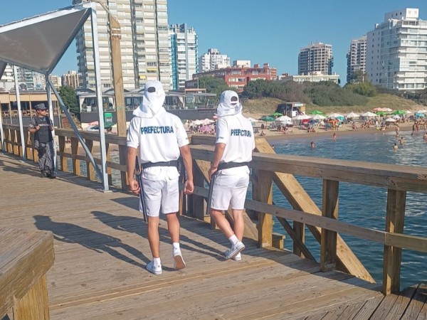 Prefectura recibió 17 notificaciones en dos días por presencia de perros en playas de Maldonado