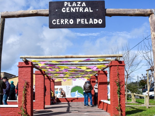 cerro pelado, actividades culturales