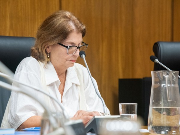 Mary Araújo señaló que casi 900 familias de Maldonado acceden al Bono Crianza, otorgado por el Mides
