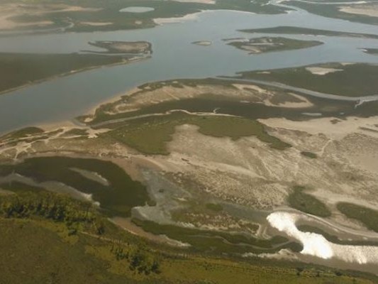 pista de picadas, intendencia de maldonado, humedal, arroyo maldonado