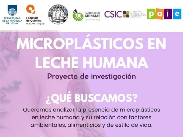 Buscan madres lactantes de Maldonado para estudio sobre microplásticos en leche humana