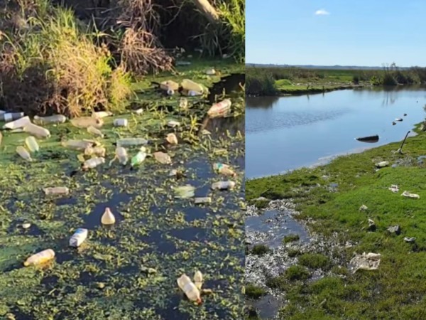 Ambientalistas siguen sin poder limpiar una cañada del ecoparque del arroyo Maldonado por ocupación del lugar y consumo de drogas