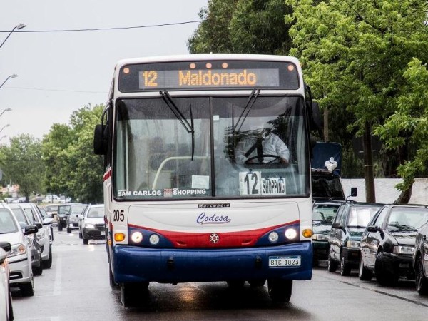 buses, codesa, maldonado, cambio de recorrido, por partido de fútbol, campus municipal,