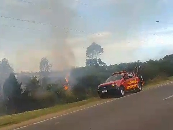 Bomeros,combatió,principio,incendio,terreno,baldío