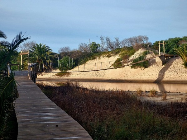 Edil colorado pidió medidas urgentes por la contaminación en el arroyo Tarariras