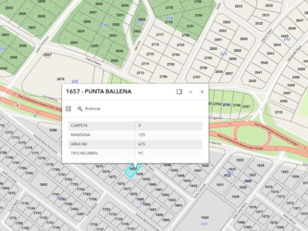 Empresario textil argentino se quedó con terreno en Punta Ballena por más de 3 millones de pesos