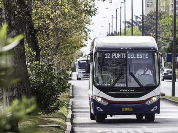 Desvíos de tránsito y transporte colectivo por la Maratón Internacional de Punta del Este