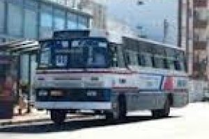 Problemas de transporte de pasajeros serán resueltos antes del lunes