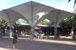 Música y acrobacias en Plaza Artigas de Punta del Este