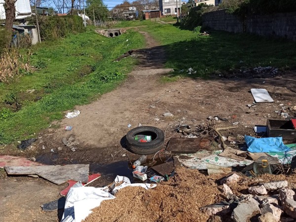 Denuncian que personas en situación de calle ocupan predio lindero a escuela de Maldonado donde “toman alcohol, defecan y mantienen relaciones sexuales”