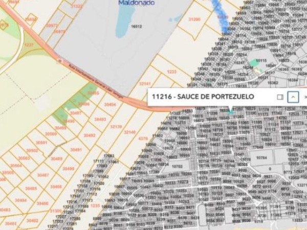 Remataron en más de un millón de pesos un terreno de Sauce de Portezuelo por deuda de tributos municipales