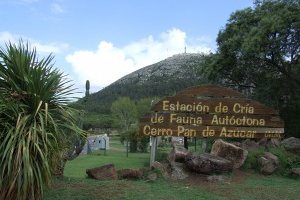 Piriápolis entregó gestión de Reserva de Flora y Fauna a la Intendencia 