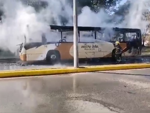 bus, micro limitada, incendió,