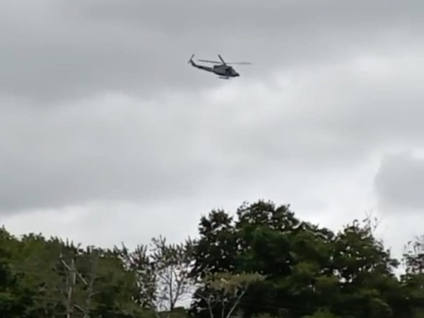 helicópteros sobrevolando, arboretum Lussich