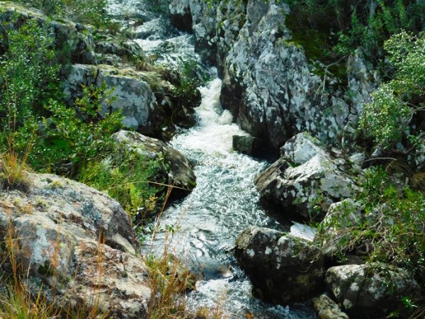 sierras de las cañas, maldonado, adquirieron tierra