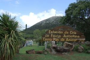 Remodelan reserva del cerro Pan de Azúcar
