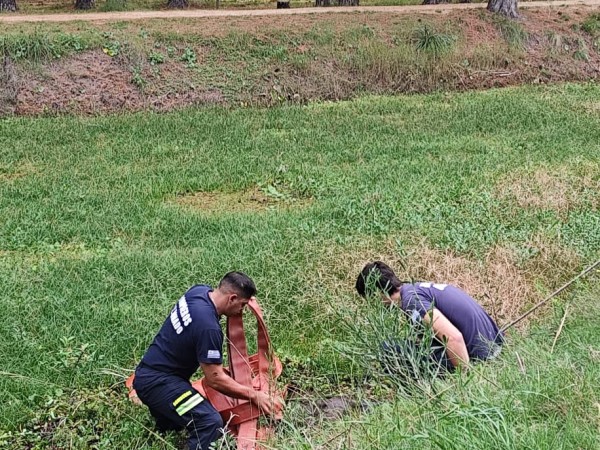 Bomberos logró salvar a un caballo que había quedado atrapado en una laguna en Maldonado