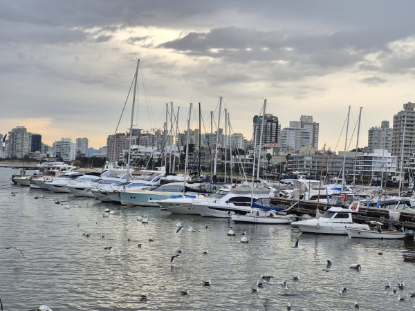 Puerto de Punta del Este tuvo “ocupación casi récord” y prevén cambios en el sistema de amarras