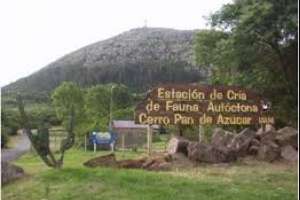 Proponen que reserva del Pan de Azúcar lleve el nombre de Tabaré González Sierra