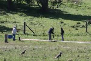 Intendencia de Maldonado atenta a ocupaciones de terrenos en  áreas importantes de la zona balnearia.