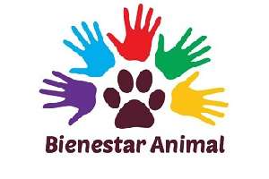 Se reúne por primera vez la Comisión Departamental de Bienestar Animal