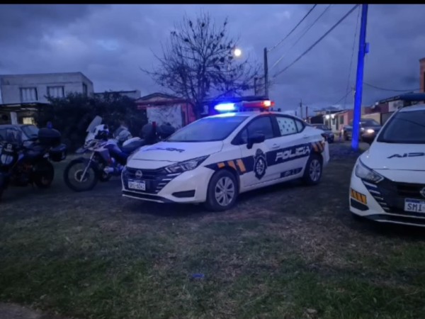 Balance semanal de la Policía: 176 operativos, 34 vehículos incautados y una espirometría positiva