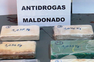 La policía incautó 6 kilos de cocaína que venían de Montevideo hacia Maldonado