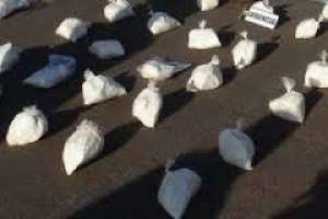 Conocido delincuente marchó a prisión por transporte de drogas
