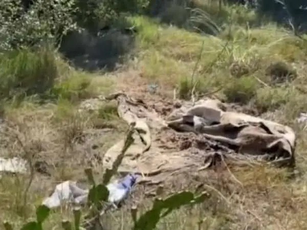 Fiscalía pide 29 años de cárcel para el autor de un crimen cometido en 2023 y cuyo cuerpo apareció junto al de una mujer enterrado en Chihuahua