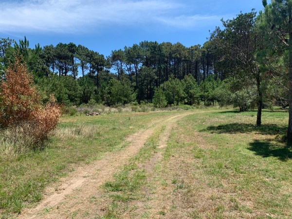 Denuncian que proyecto inmobiliario Reserva del Mar está incumpliendo disposición del Ministerio de Ambiente