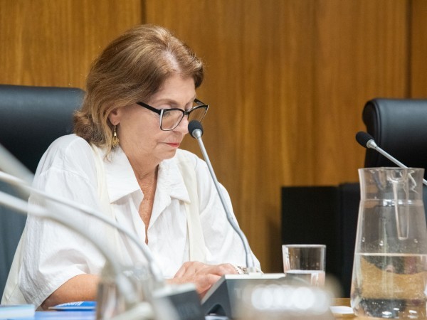 "Hay sectores de la sociedad a los que no estamos llegando", afirmó la diputada Mary Araújo