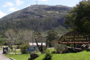 Un joven cayó en el Cerro Pan de Azúcar, se fracturó el tobillo y tuvo que ser rescatado