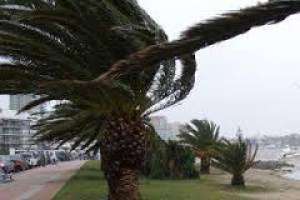 Alerta por vientos fuertes para una amplia zona de Maldonado