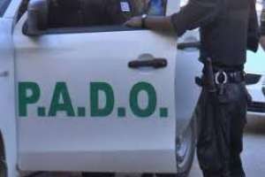 Cometió cuatro robos en la Ruta 39 y fue condenado a 11 meses de cárcel