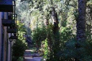 Cierran algunas zonas del Arboretum Lussich por el alto riesgo de incendio