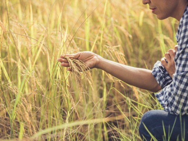 Octubre, un mes dedicado a reconocer el papel de la mujer rural