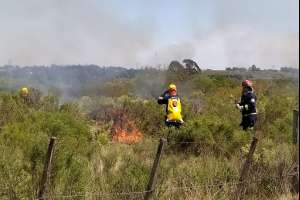 Unos 110 de los 150 bomberos zafrales serán destinados a Maldonado y Rocha