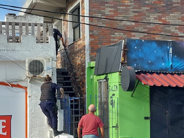 Bomberos, Ventura Alegre, gato