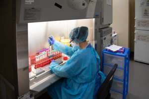 Covid-19: 667 casos nuevos, 24 fallecidos y 178 pacientes en CTI