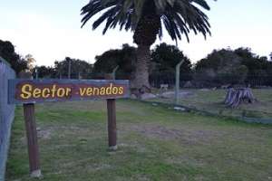 Estación de Flora y Fauna del Cerro Pan de Azúcar amplió el aforo a 400 personas