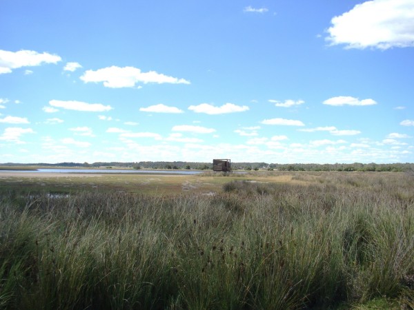 Maldonado crea una Guardia Ambiental por etapas para proteger su patrimonio natural