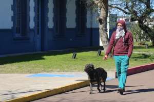 Nuevo calendario de castraciones caninas 