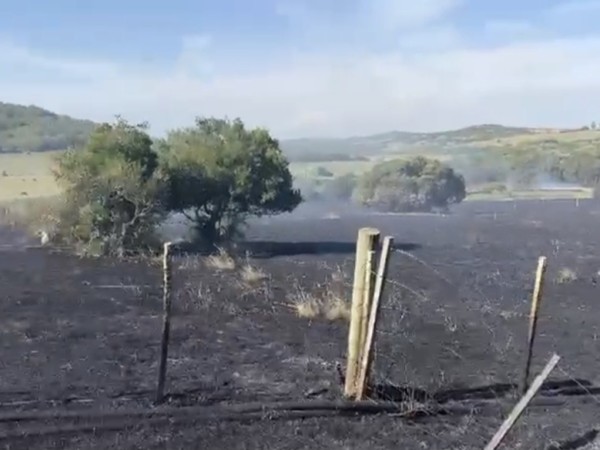 Bomberos controlaron incendio de campo en Sierra de los Caracoles
