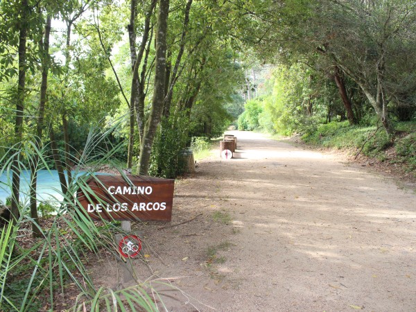 Arboretum, reserva natural, Lussich, Punta Ballena