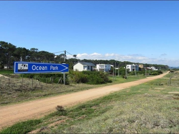 ocean park, policia, vecino, torturado,