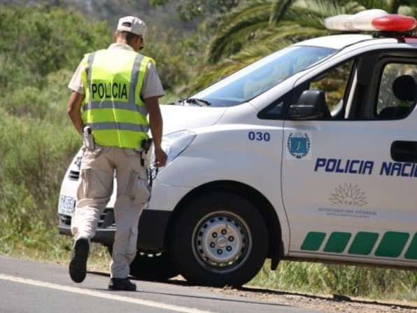 Siniestro, carpincho, lesionado, motociclista