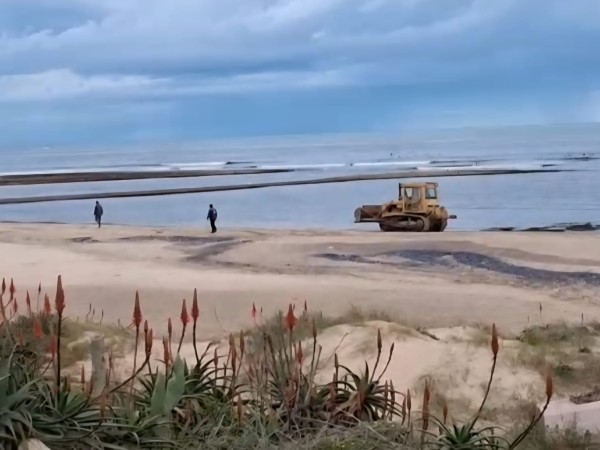 Iniciaron apertura excepcional de la desembocadura del arroyo Tarariras