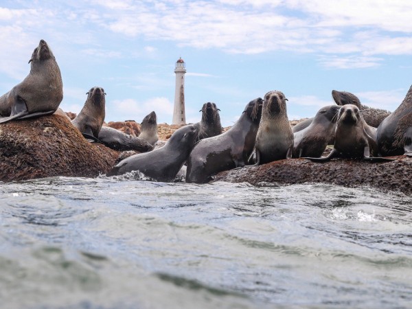 isla de lobos, area protegida, ministerio de ambiente,