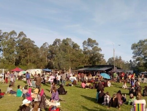 festival, punta negra, primavera,